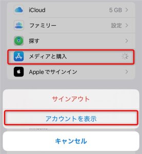 iPhone設定から購入履歴の確認02