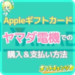 ヤマダ電機でAppleギフトカードは購入可能！金額や支払い方法…