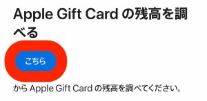 Appleギフトカード残高の確認手順(チャージ前2)