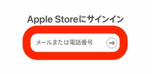 Appleギフトカード 残高確認1