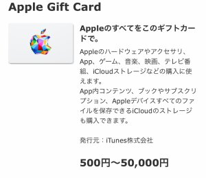 Appleギフトカード購入手順(Kiigo1)