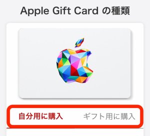 Appleギフトカード購入手順(楽天市場2)