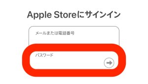 Appleギフトカード 残高確認2